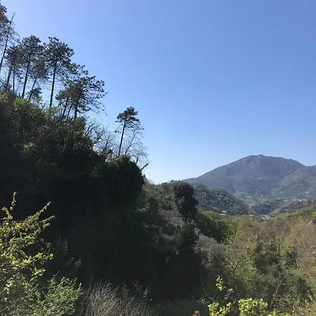 多尔切维亚度假屋 公寓