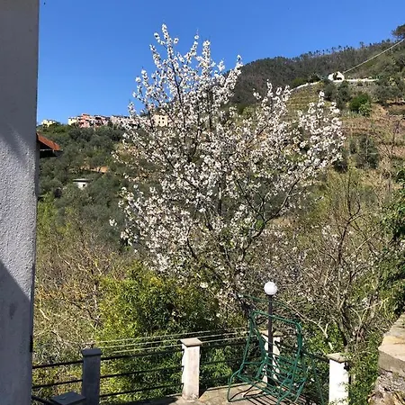 多尔切维亚度假屋