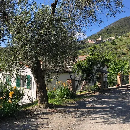 Apartamento Dolcevia *