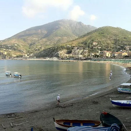 Dolcevia *