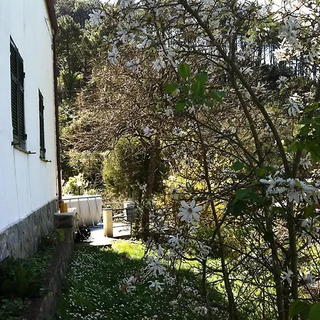 Appartement Dolcevia *
