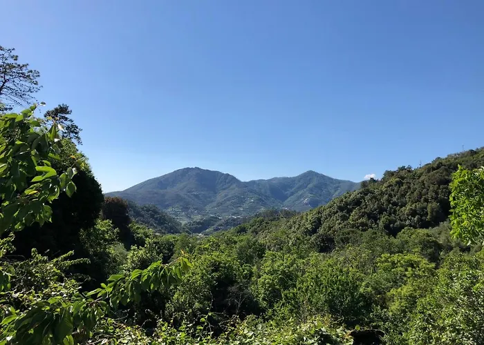 多尔切维亚度假屋 * 莱万托