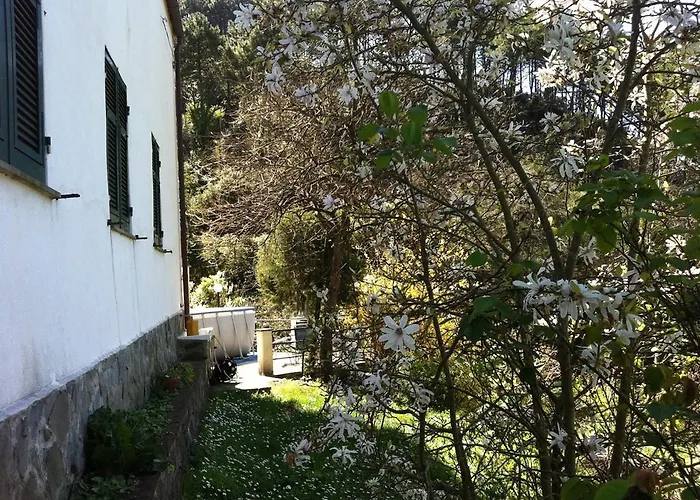 Διαμέρισμα Dolcevia *