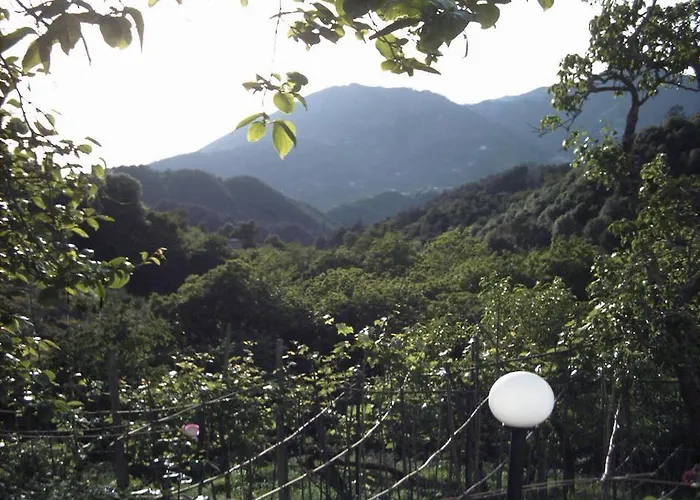 Dolcevia Διαμέρισμα